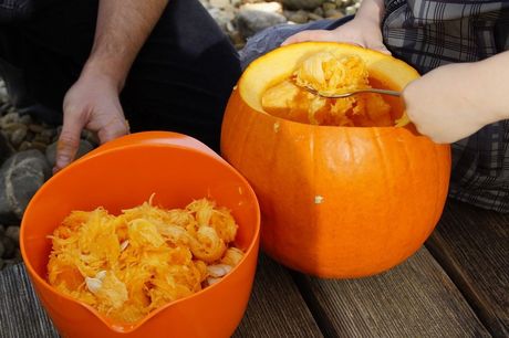 Читка тыквы