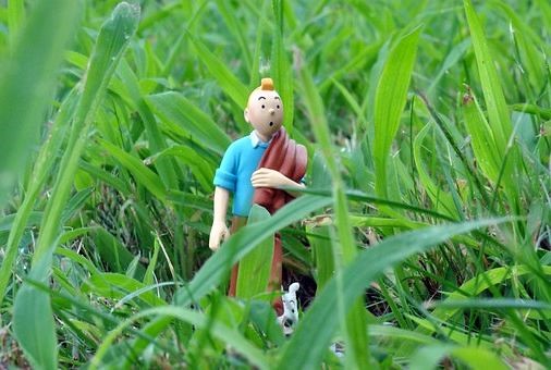 Человечек в траве