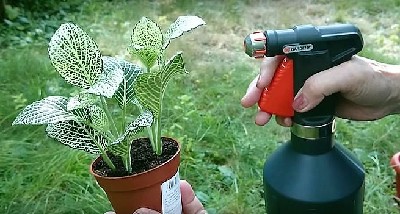 Распылитель воды