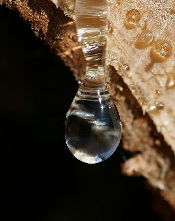 Капля смолы