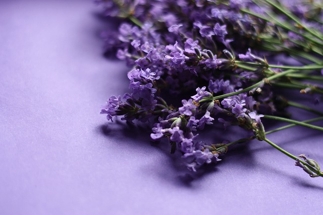 Лаванда