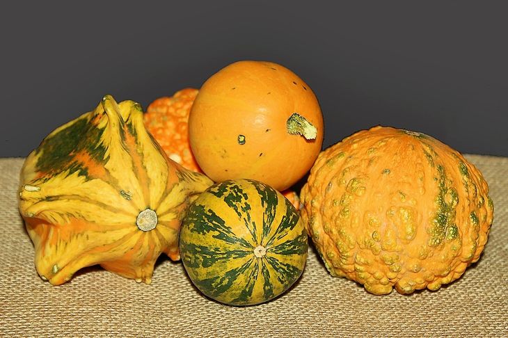 Различные виды тыкв