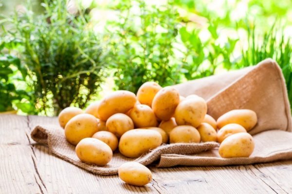 Картофель Картофель
