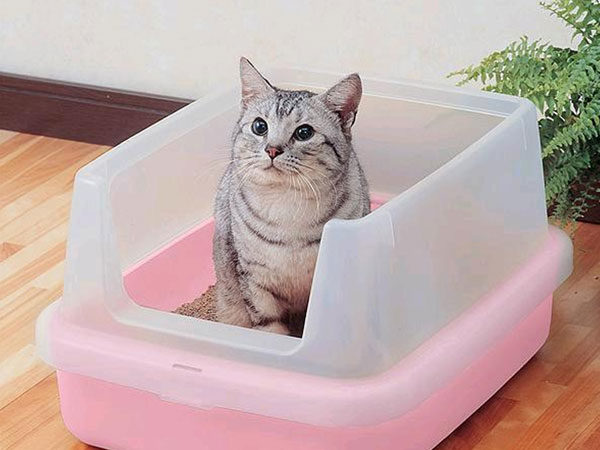 Лоток должен быть удобен для кота
