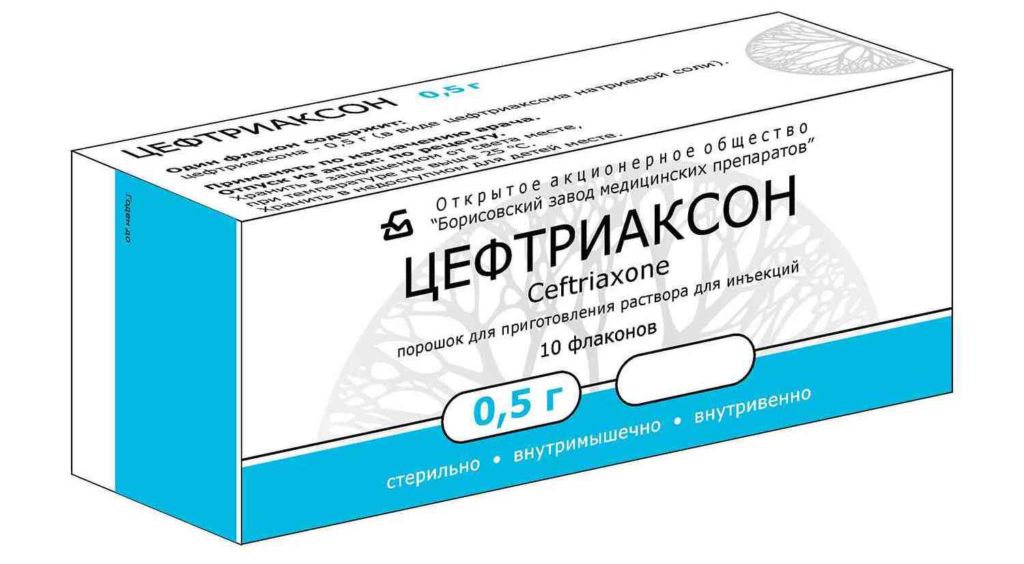 5 антибіотиків для кішок широкого спектру: застосування у ветеринарії ...