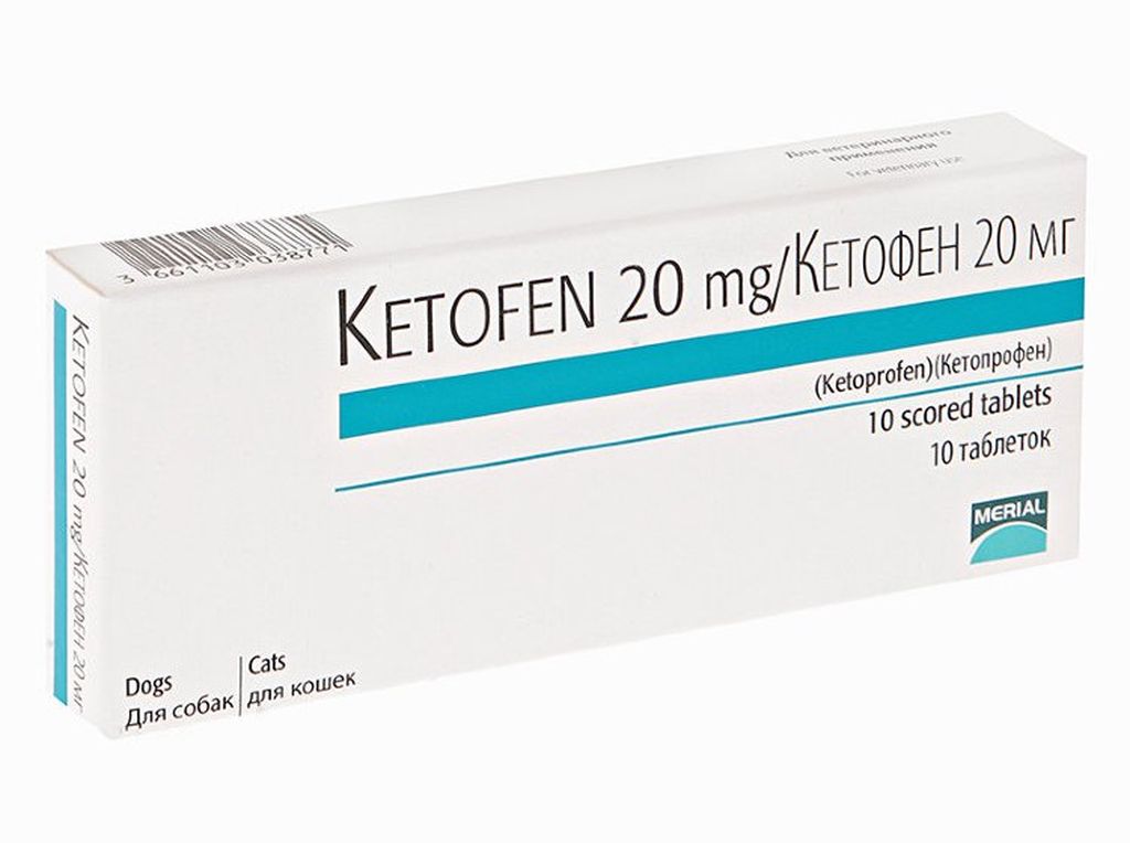 Спазган wockhardt. Можно ли давать собаке обезболивающие таблетки. ). Можно ли давать собаке обезболивающие таблетки. Можно ли давать собаке обезболивающие таблетки.