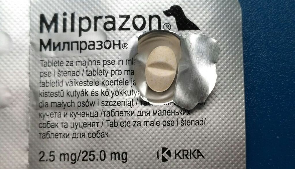 Цималджекс Для Собак 80 Мг Купить