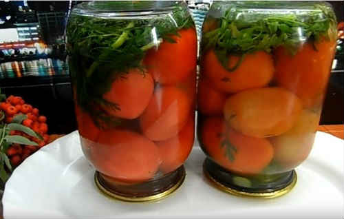 Ассорти с морковный ботвой. Ассорти огурцы помидоры с морковной ботвой рецепт. Огурцы с морковной ботвой на зиму рецепты. Сорта помидор для засолки. Ассорти огурцы помидоры с морковной ботвой рецепт.